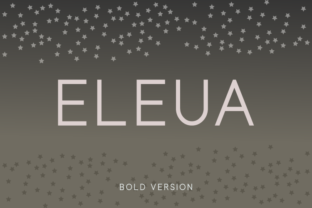 Eleua Bold: A Modern Typeface for Thoughtful Editorial Design