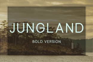 Jungland Bold: A Typeface for Thoughtful Design