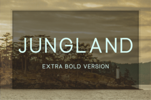 Jungland Extra Bold: A Modern Typeface for a Strong Brand