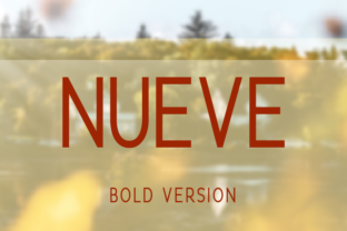 Nueve Bold: A Modern Typeface for Strong Digital Branding