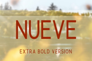 Nueve Extra Bold: A Typeface That Elevates Your Digital Brand