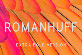 Romanhuff Extra Bold: A Minimalist Font for Modern Branding
