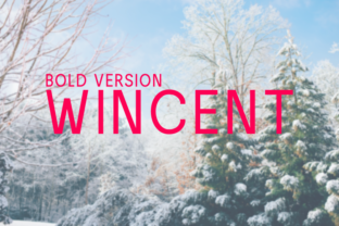 Wincent Bold: A Modern Typeface for Strong Digital Design