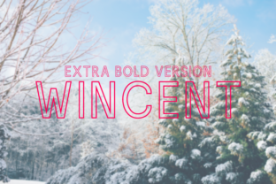 Wincent Outline Extra Bold: A Typeface That Commands Attention