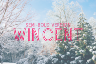 Wincent Outline Semi-Bold Review: A Bold Choice for Visual Impact
